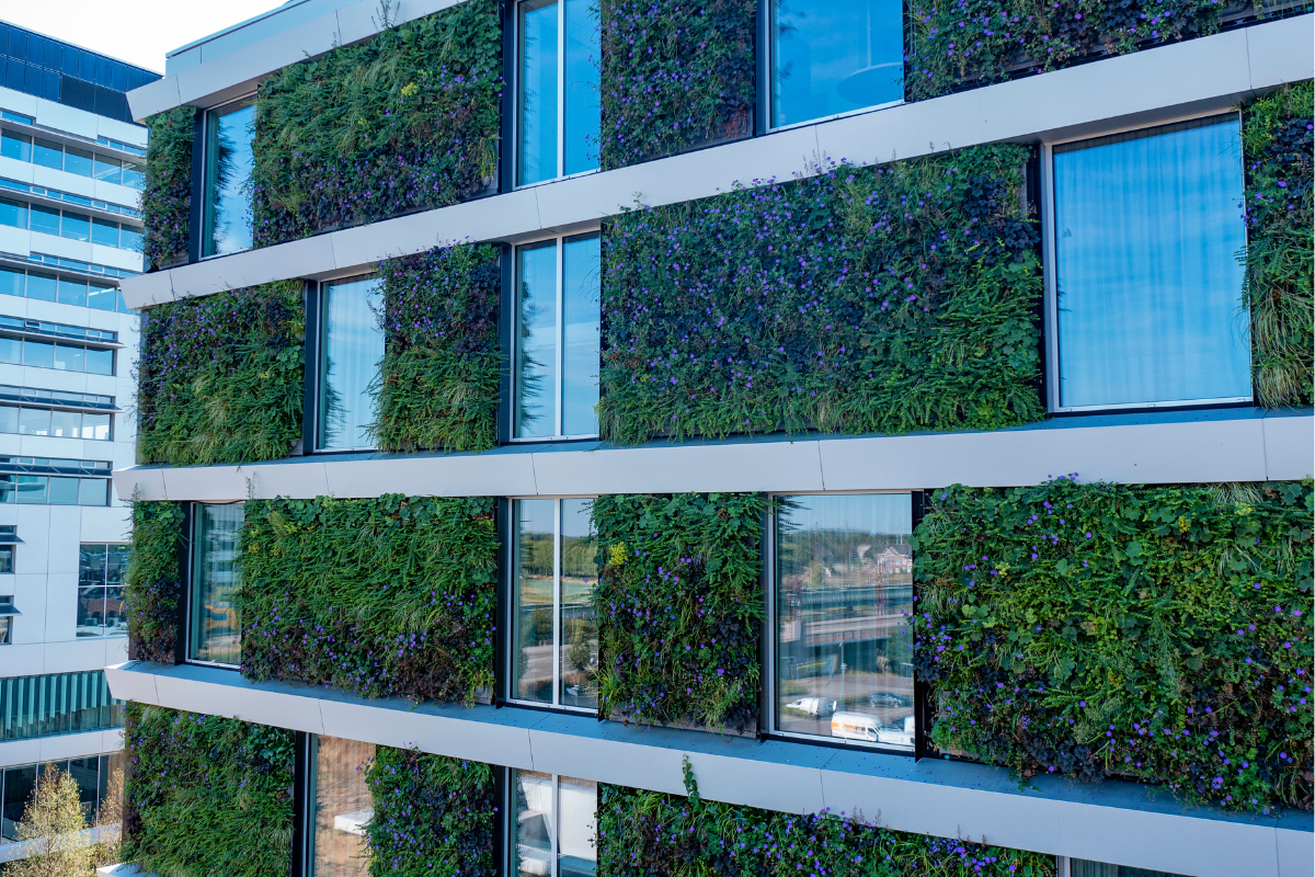 Waar is een groene gevel een oplossing voor?