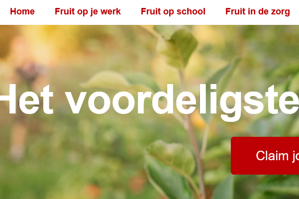 Verantwoord fruit voor het werk, in de zorg en op school