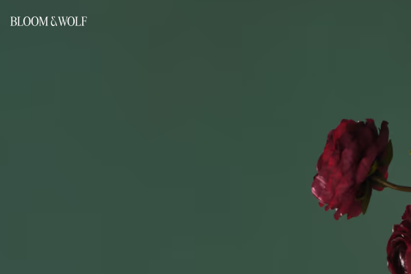 Bloom-and-Wolf-afbeelding-bedrijfsprofiel