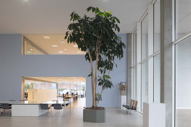 Plantrent Office, deskundig in vergroening van kantoren