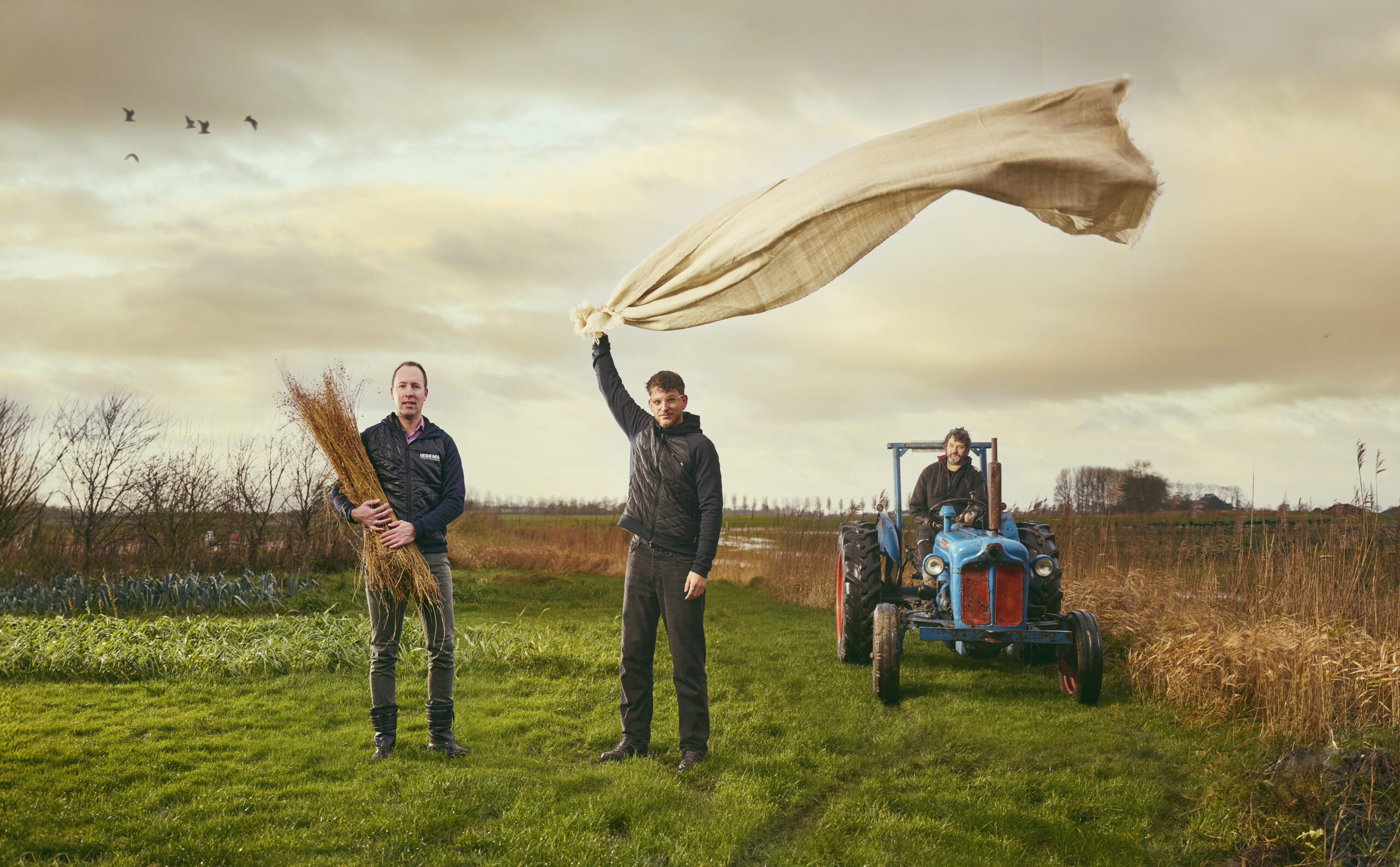 Iedema-BESTART-scaled