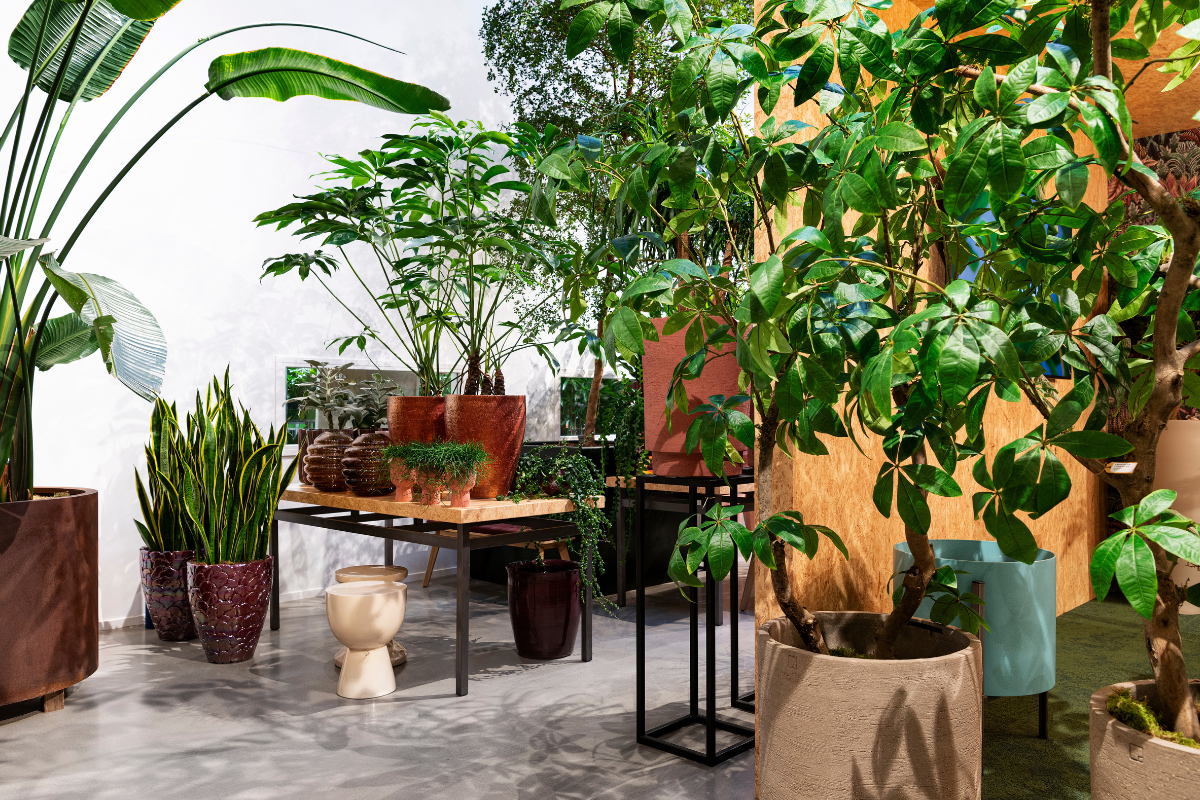 De Klerk – Onderhoudskaart hydroplanten