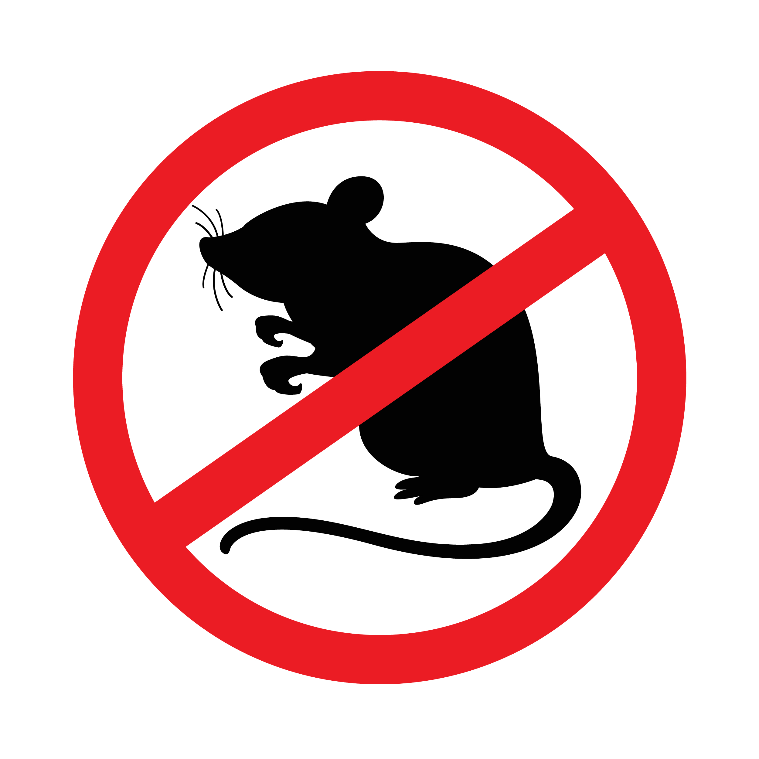 Rat,,Mouse,Icon,Prohibited,Isolated,On,White,Background,,Black,Rat