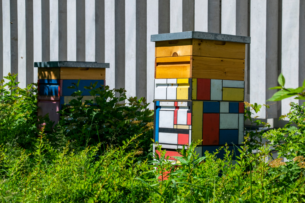 Laagdrempelig bijdragen aan de biodiversiteit