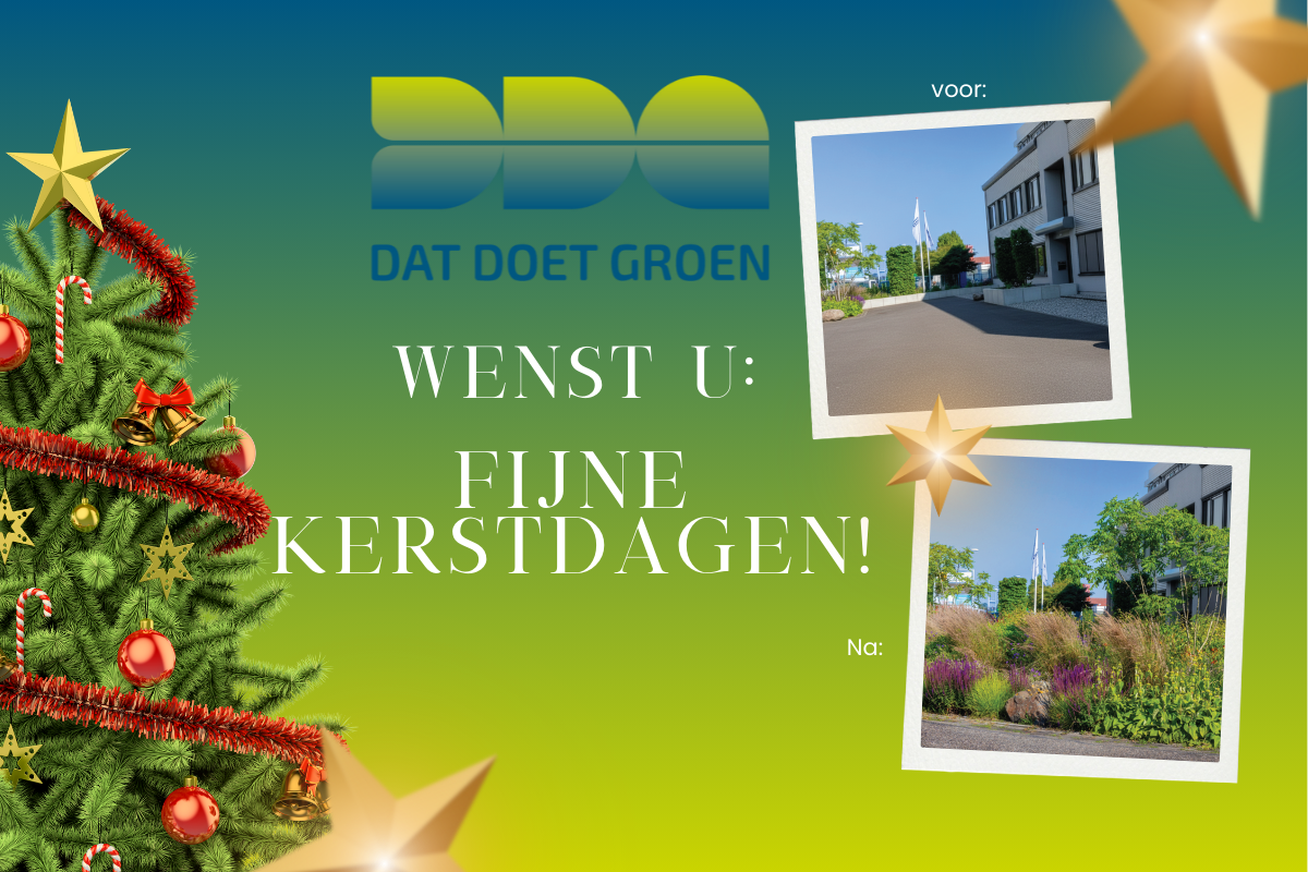 Groener dan een kerstboom: zo wensen wij je de Feestdagen toe