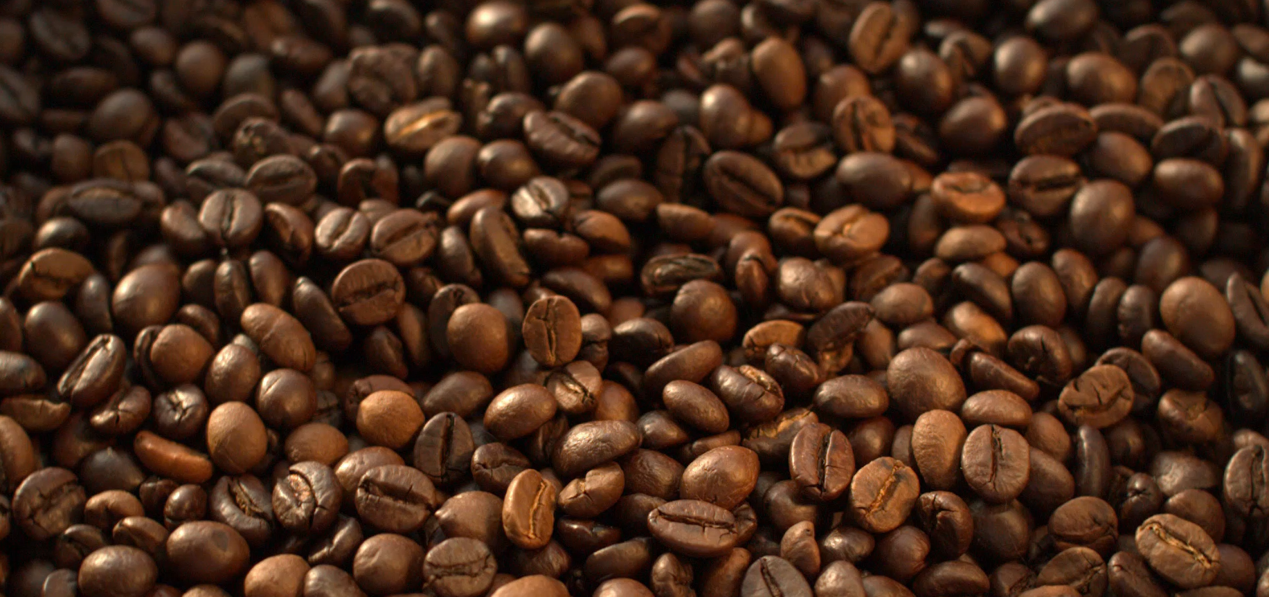 Sinds 1975 staan voor warmte en verbinding in elk koffiemoment